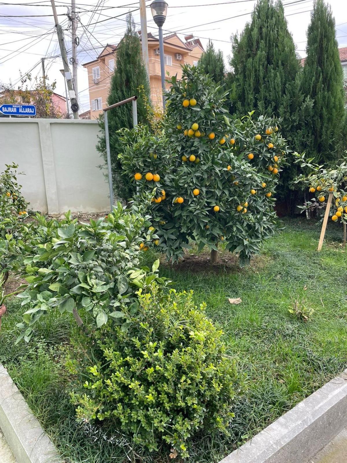 Kevi 'S Place Tirana Exterior photo
